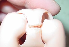 Close-up of a small, broken pale object held between fingers.