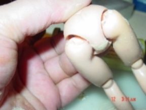A close-up of a hand holding a small doll with bent limbs.